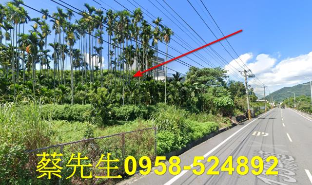 國姓法拍農地-11