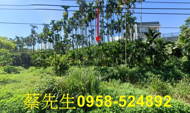 國姓法拍農地-0