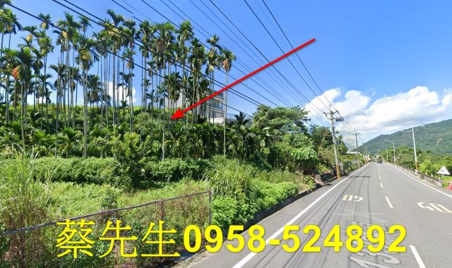 國姓法拍農地-4