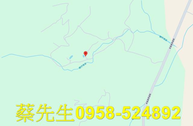 花蓮農地法拍-6