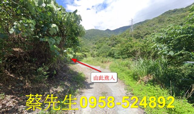 花蓮農地法拍-7