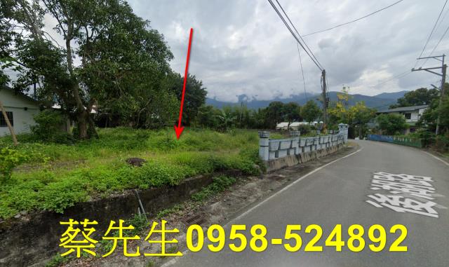 花蓮建地法拍-13