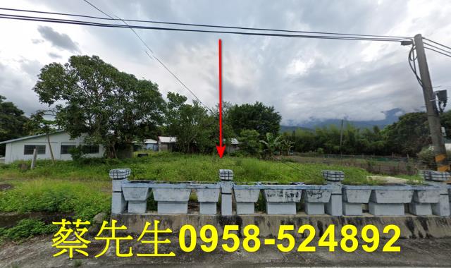 花蓮建地法拍-0