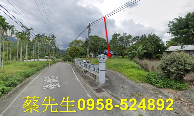 花蓮建地法拍-4