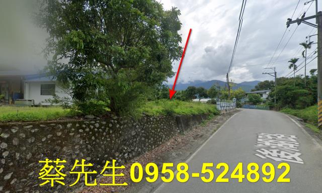 花蓮建地法拍-6