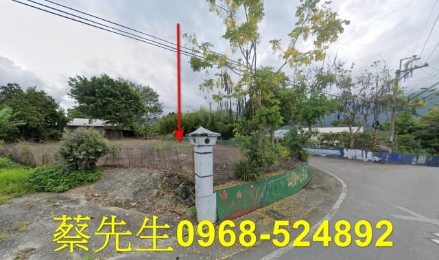 花蓮拍賣建地-11