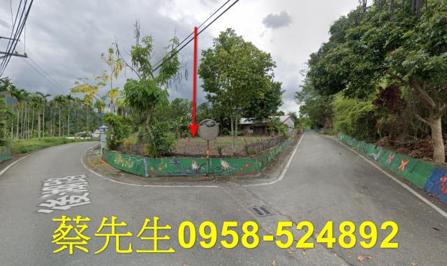花蓮拍賣建地-13