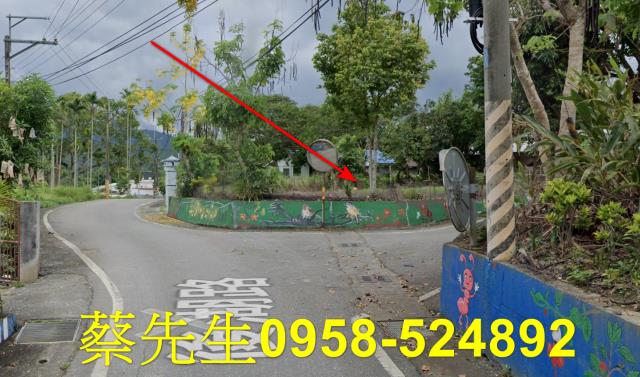 花蓮拍賣建地-14