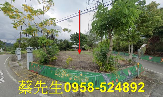 花蓮拍賣建地-0