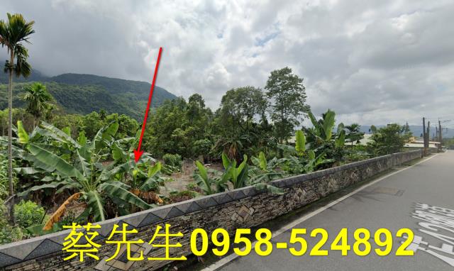 花蓮萬榮農地法拍-13