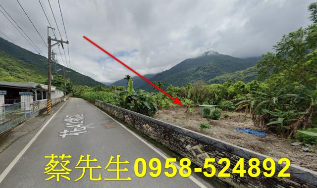 花蓮萬榮農地法拍-4