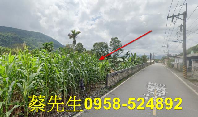 花蓮萬榮農地法拍-6