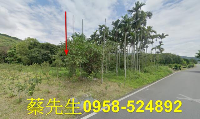 花蓮萬榮法拍農地-11