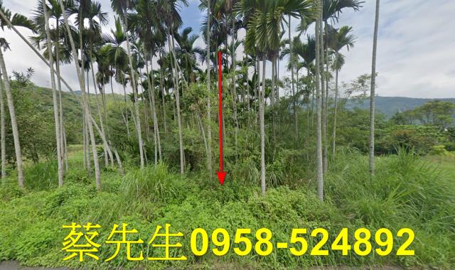 花蓮萬榮法拍農地-0