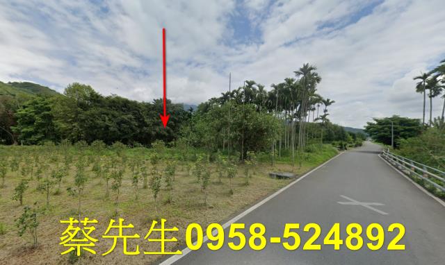 花蓮萬榮法拍農地-4