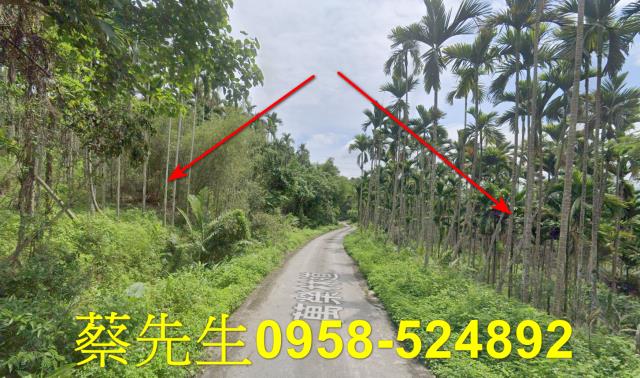 花蓮萬榮農地法拍-5