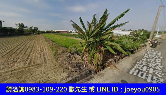 台南安定農地法拍-3