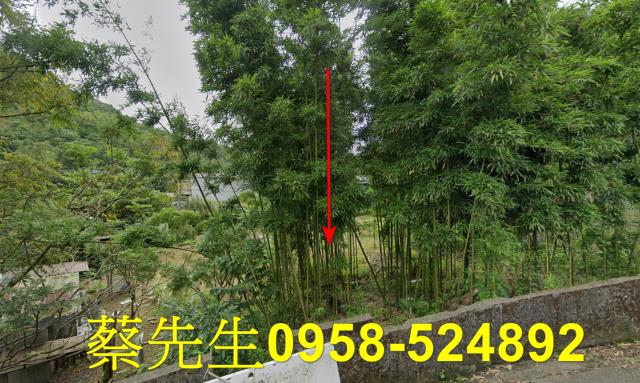 台北南港休閒地法拍-0