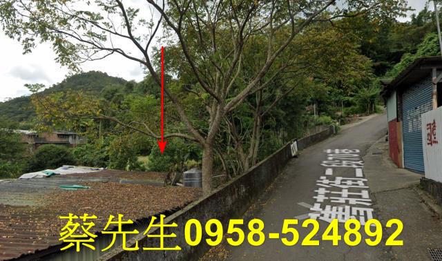 台北南港休閒地法拍-4