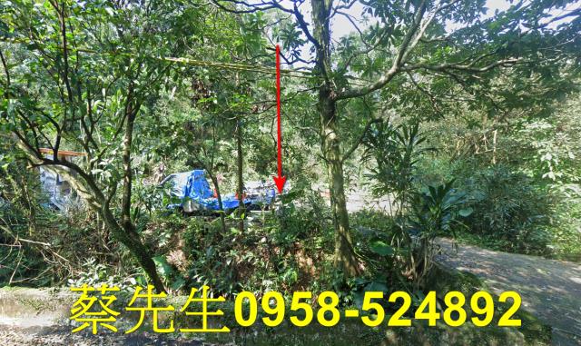 萬里農地法拍-8