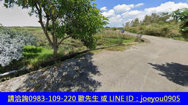 斗六法拍農地-3