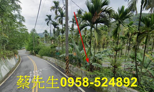 魚池法拍農地-14