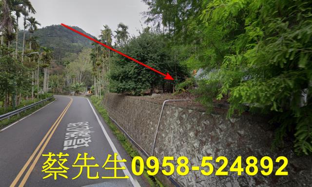 魚池法拍農地-3