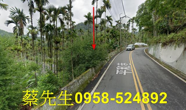 魚池法拍農地-5