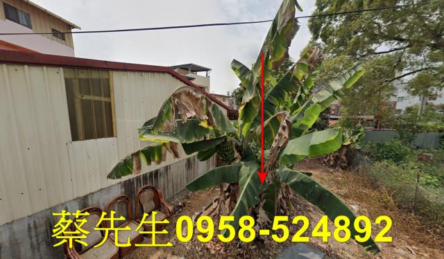 埔里住宅地拍賣-0