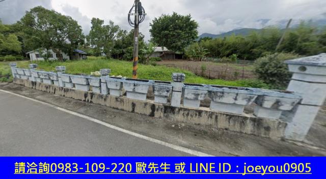 花蓮法拍建地-3