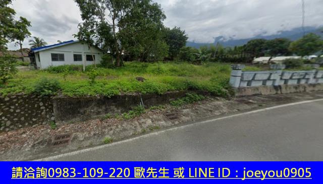 花蓮法拍建地-4