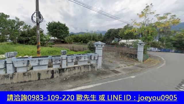 花蓮建地法拍-11