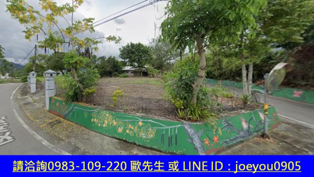 花蓮建地法拍-3