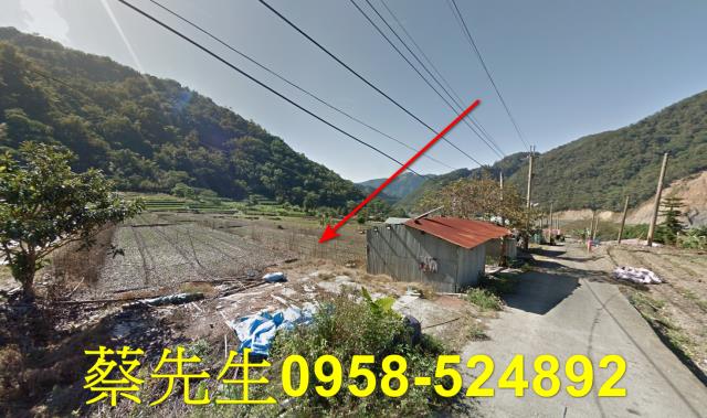 仁愛鄉農地法拍-12