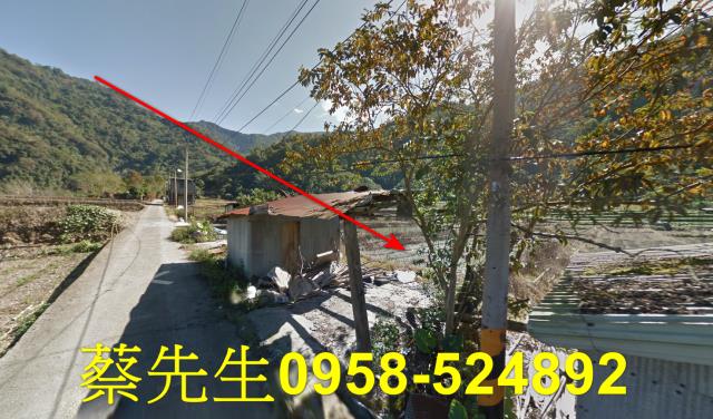 仁愛鄉農地法拍-14