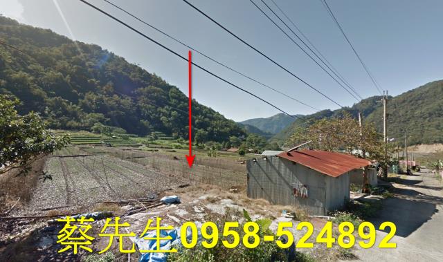 仁愛鄉農地法拍-0