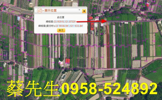 仁愛鄉農地法拍-2