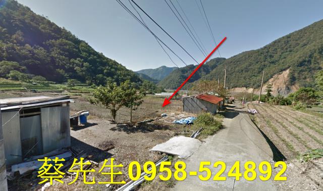 仁愛鄉農地法拍-3