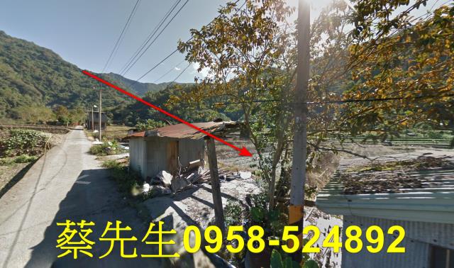 仁愛鄉農地法拍-5