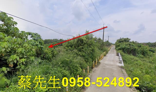 台南玉井農地法拍-11