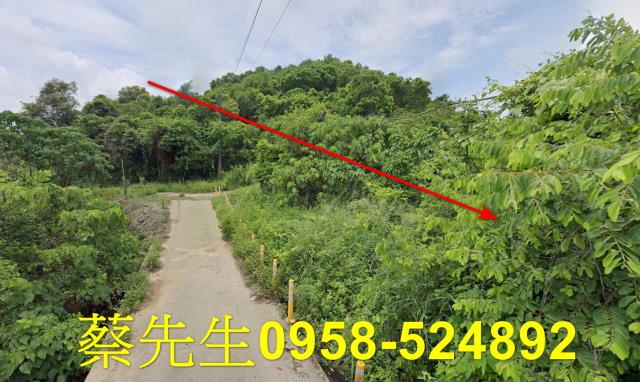 台南玉井農地法拍-12