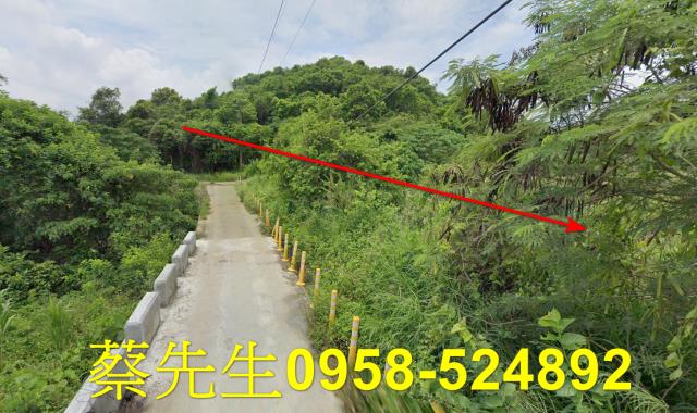 台南玉井農地法拍-13