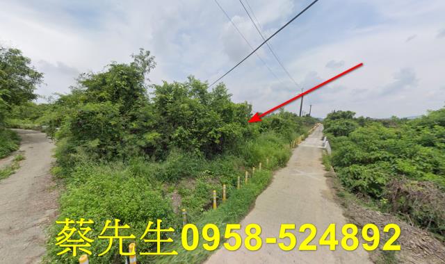 台南玉井農地法拍-0