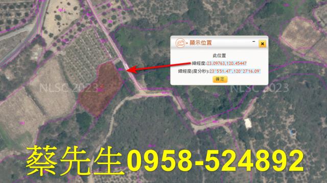 台南玉井農地法拍-2