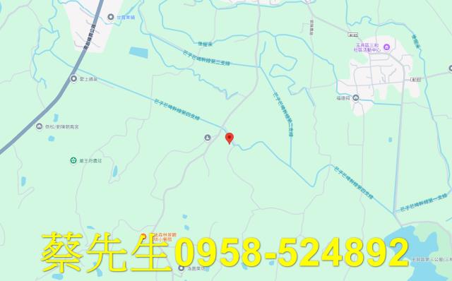 台南玉井農地法拍-7