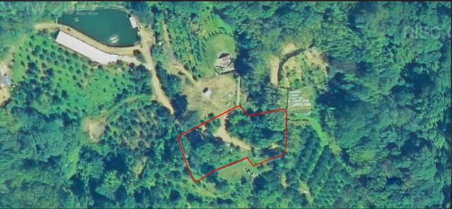 新埔建地法拍-1