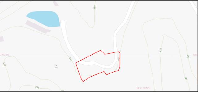 新埔建地法拍-7