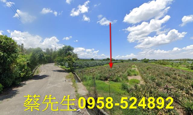 雲林斗六法拍農地-11