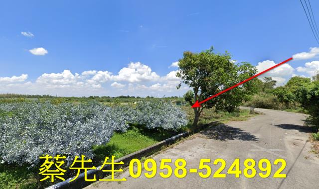 雲林斗六法拍農地-14