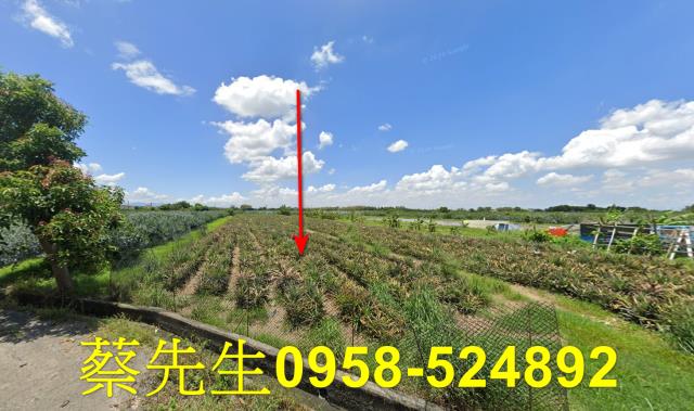 雲林斗六法拍農地-0
